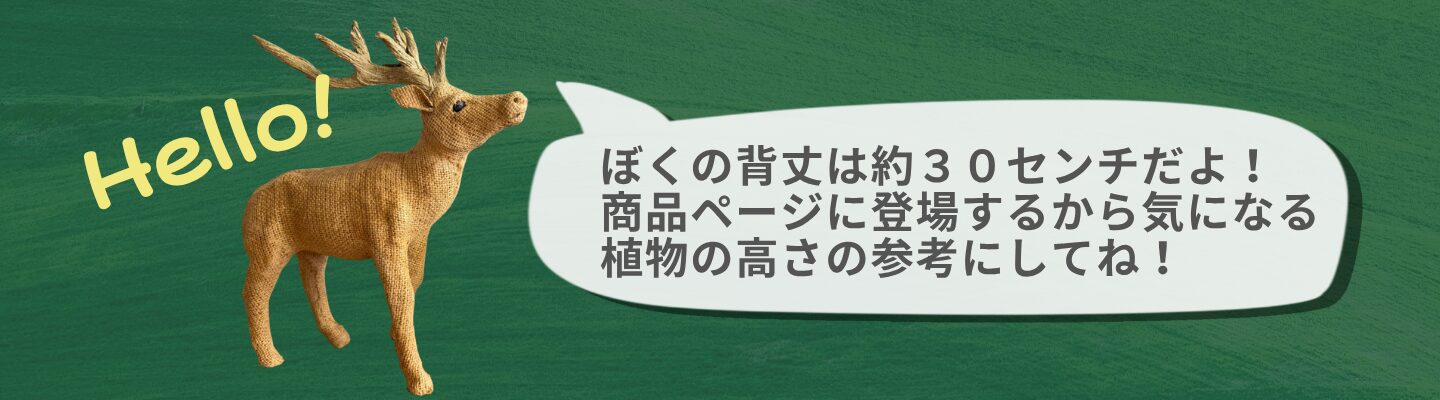 トキメキグリーン比較対象