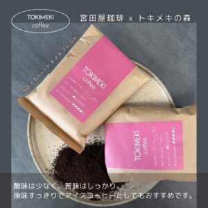 ディフェンバキア セッチウィルソン バリエガータ 6号size ￥12,000