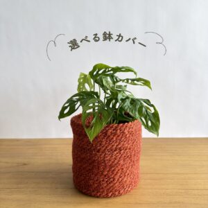 マドカズラ
