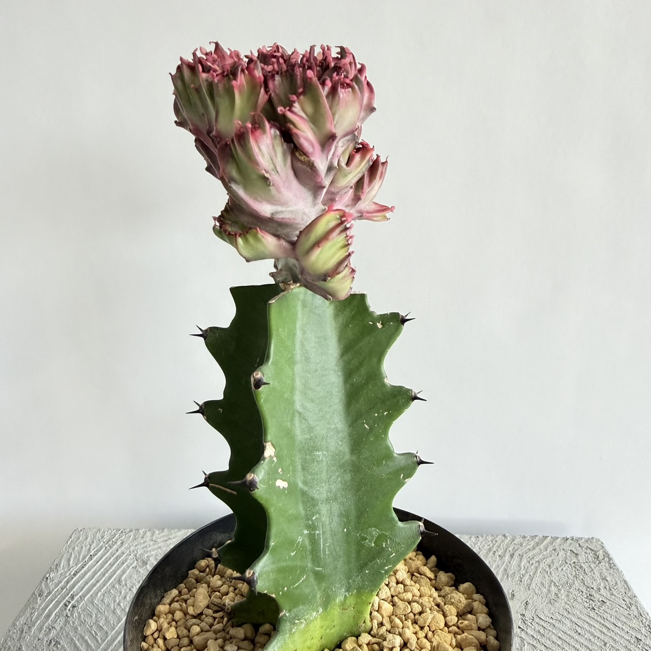 S__23060501_0