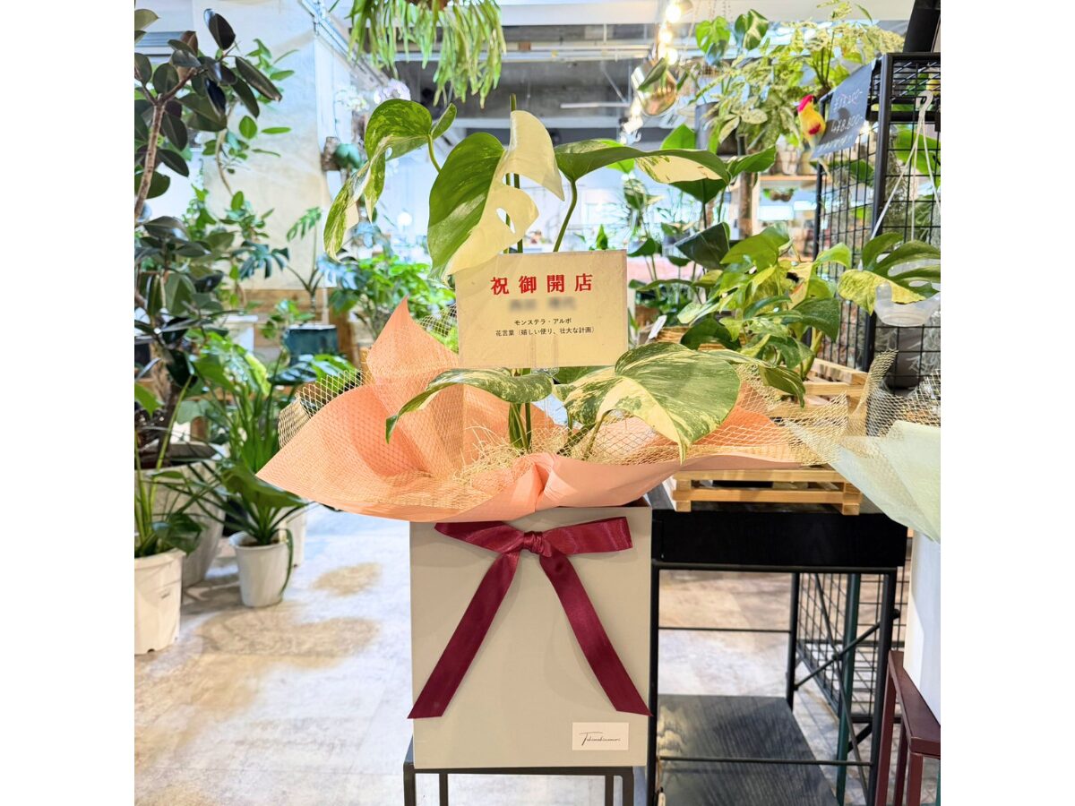 お届けした贈答品の紹介